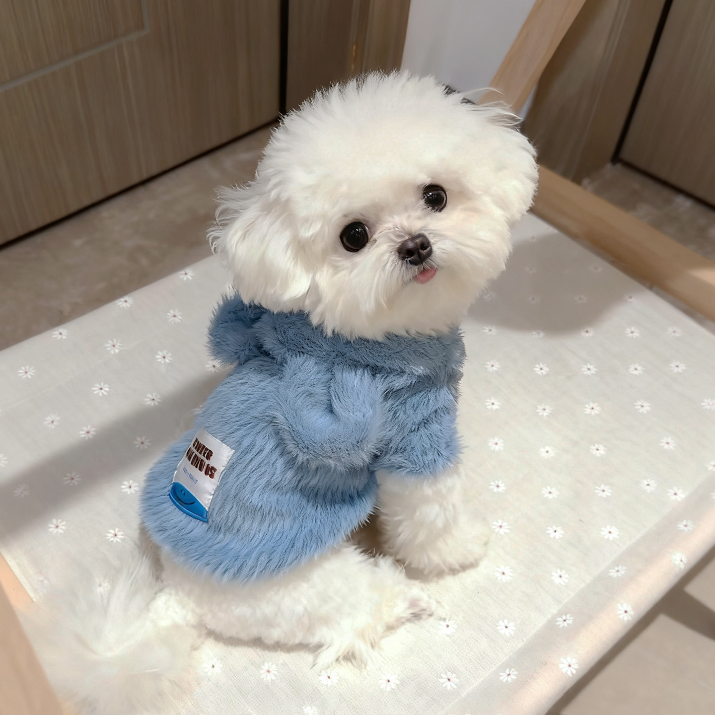 狗狗衣服冬季新款保暖比熊泰迪博美小型犬棉衣猫咪防掉毛可爱卫衣