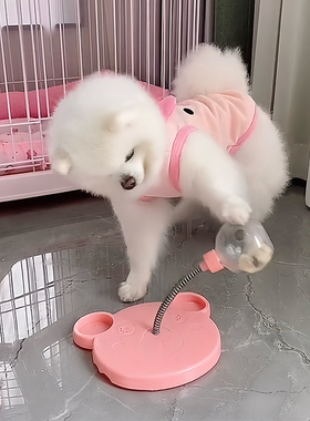 狗狗玩具漏食器自嗨解闷神器小狗训导玩具消耗精力益智冻干发射器