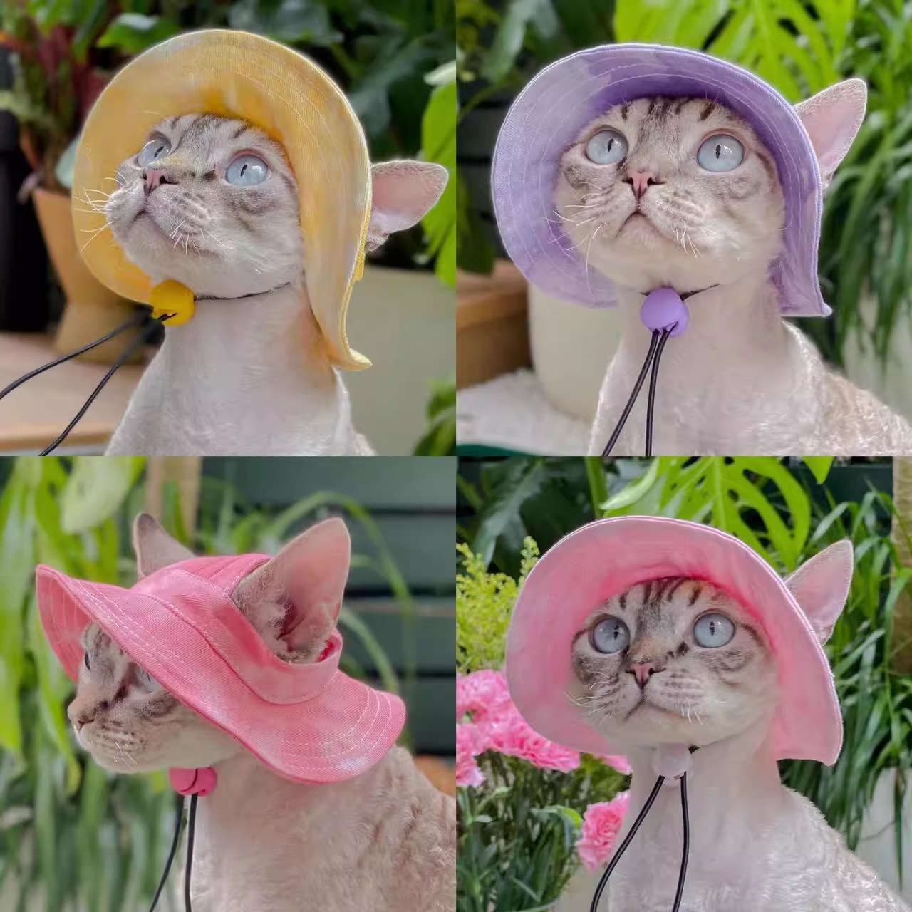 猫咪狗狗帽子德文猫防晒拍照神器