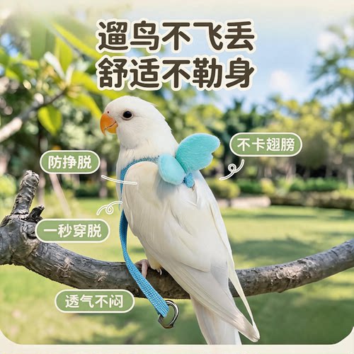 鹦鹉不勒脚放飞绳遛鸟神器