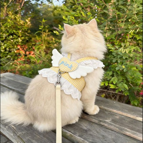小猫防挣脱蕾丝胸背牵引裙