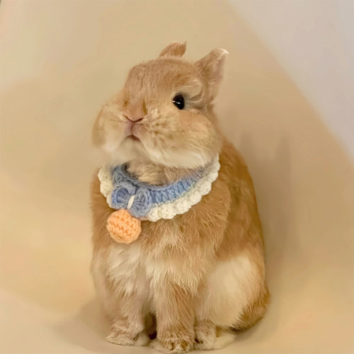 兔子围脖可爱手工编织口水巾装饰