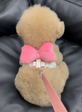 小狗狗牵引绳新款蝴蝶结胸背小型犬背心式比熊泰迪防挣脱遛狗绳子