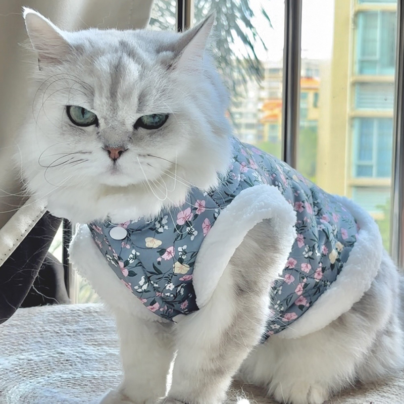 猫衣服冬季保暖新年拜年碎花棉服