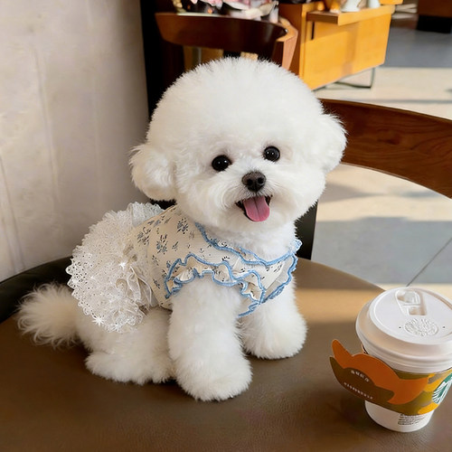 狗狗凉凉衣薄款防晒衣