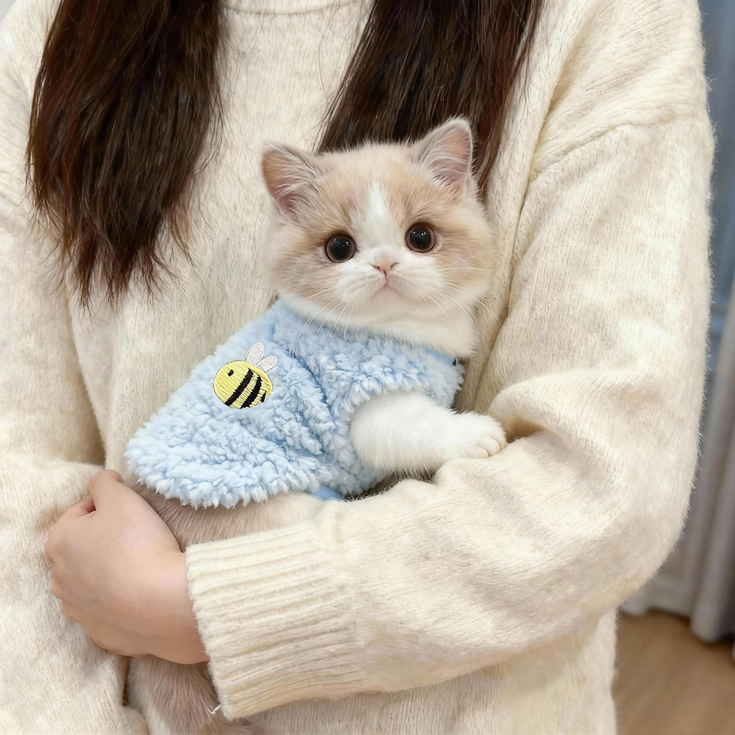 奶猫衣服0-3个月新生幼猫秋冬