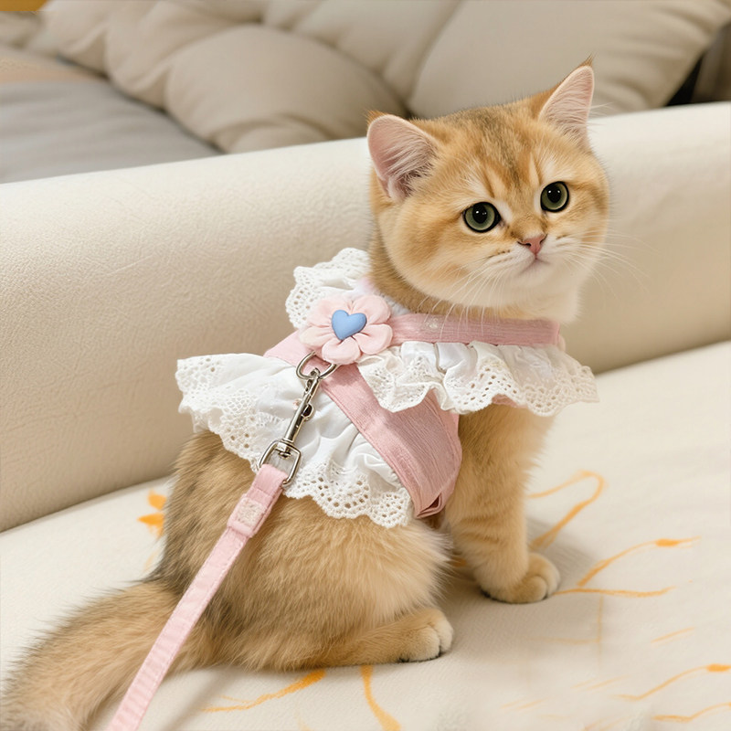 猫咪牵引绳可爱JK风可调节防挣脱金渐层美短布偶外出胸背带遛狗绳