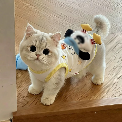 夏季透气防掉毛猫咪吊带背心