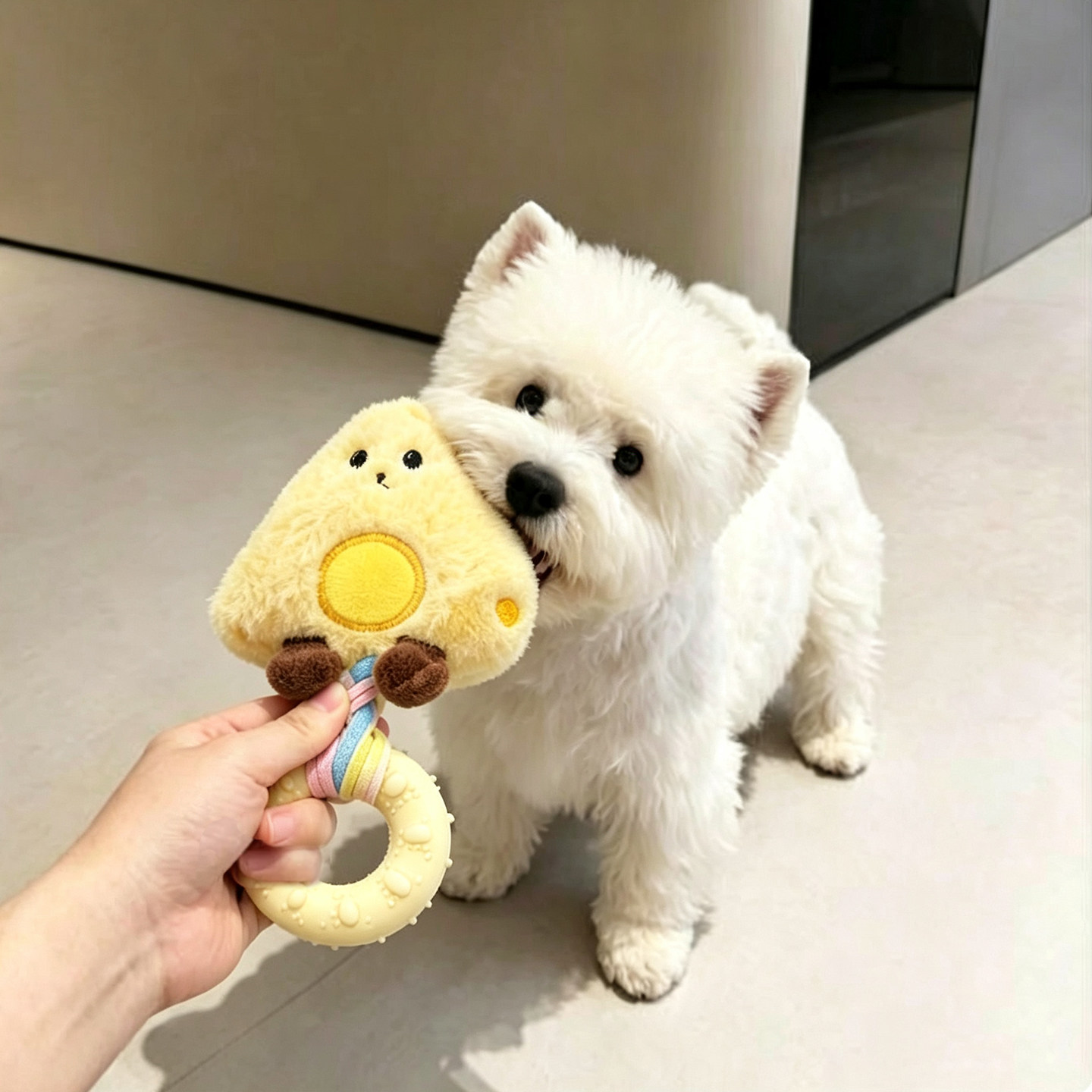 狗狗发声耐咬磨牙咬咬圈防拆家