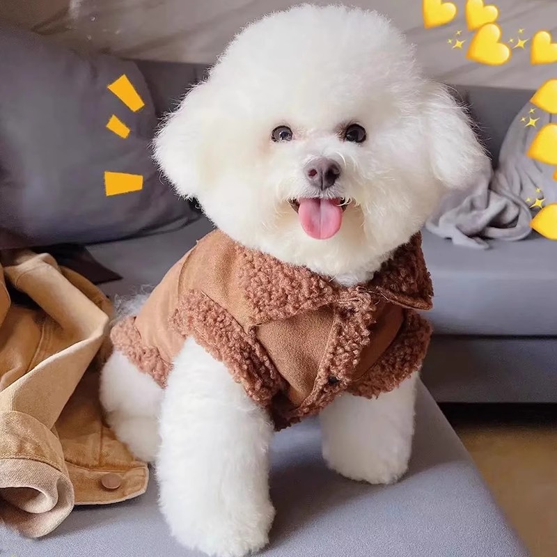 小狗狗衣服可牵引马甲泰迪比熊博美雪纳瑞宠物猫咪秋冬款保暖背心