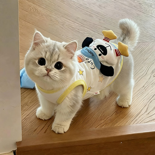 夏季透气防掉毛猫咪吊带背心