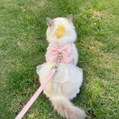 猫咪胸背牵引绳防脱逃可调节绳子