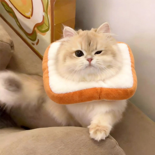 猫狗可调绝育防舔伊丽莎白