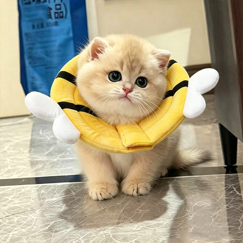 猫狗软伊丽莎白圈防舔