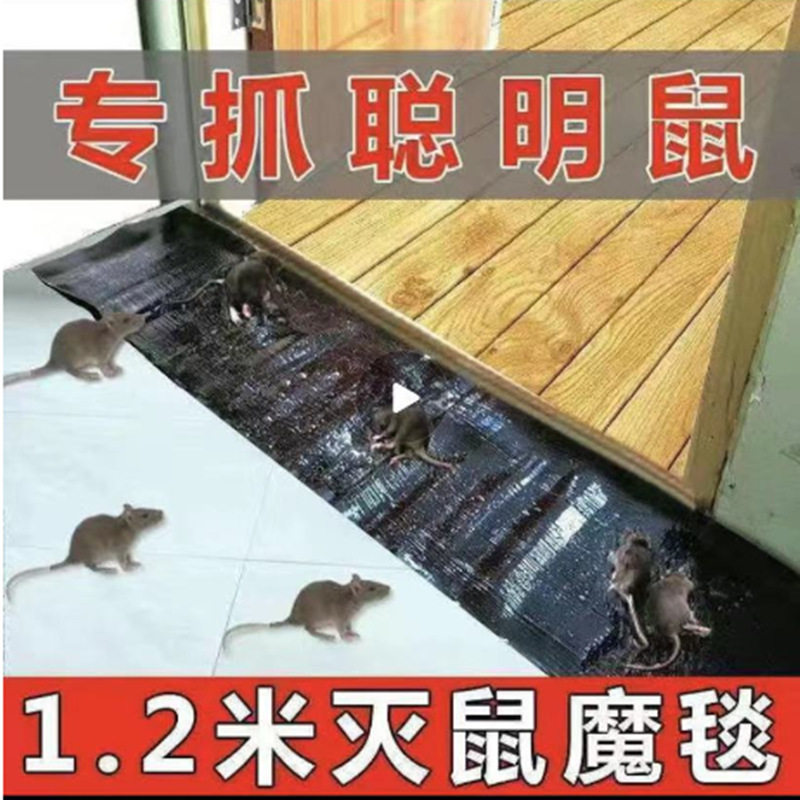 猫山王粘鼠毯老鼠贴灭鼠魔毯1点2米粘鼠板大厂家支持一件包邮