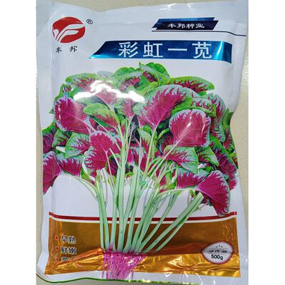丰邦彩虹一苋苋菜种子500克大包