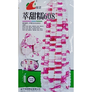 绿领萃甜糯608玉米种子花糯鲜食加甜加糯1:3苞谷米棒子200克800粒