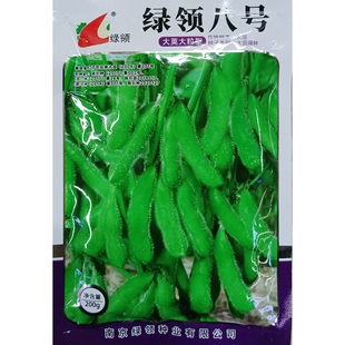 绿领八号春播早熟毛豆种子早大豆青豆仁鲜食毛豆米种籽春季200克