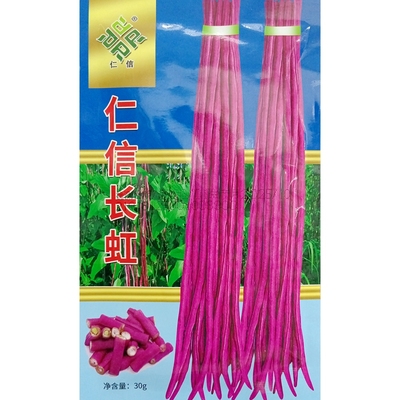 仁信长虹紫红豇豆种子30克