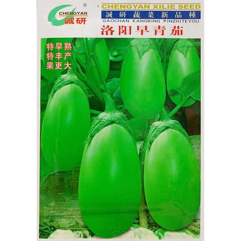 绿茄子种子蛋型茄子青皮大茄10克