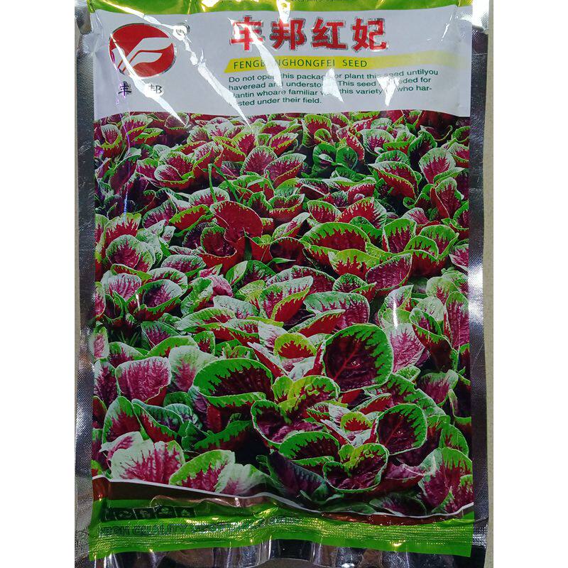 丰邦红妃圆叶红苋菜种子绿红大叶片花红汉菜汗菜旱菜种籽1斤500克