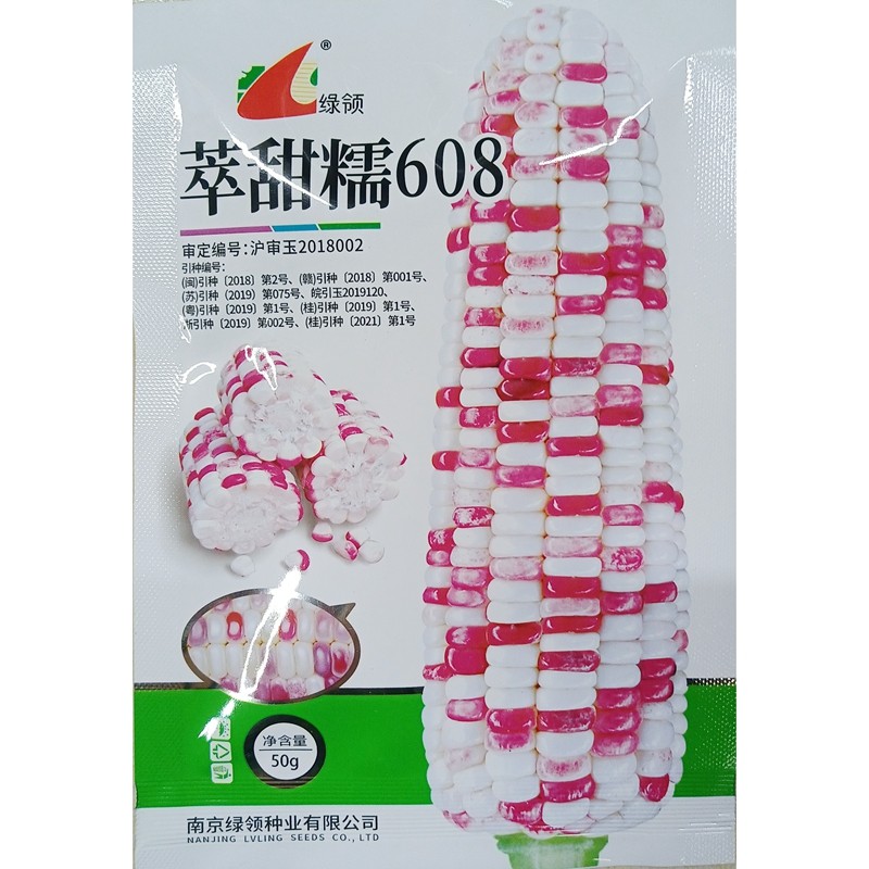 绿领萃甜糯608玉米种子花糯玉米鲜食苞谷加甜加糯1:3春秋播种50克
