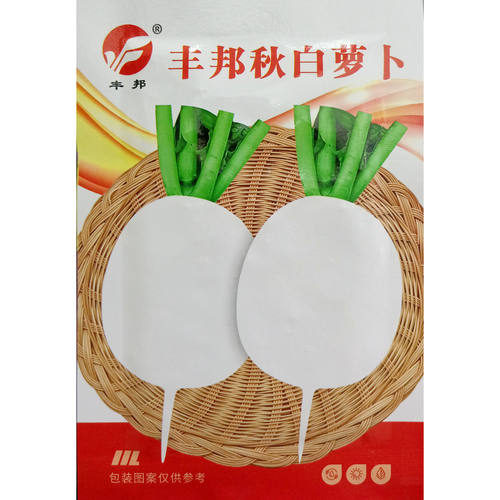 秋白白萝卜种子早熟35-60天