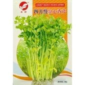 四月慢空心芹种子香芹菜种籽空心黄心高产耐抽苔10克 袋200克罐装