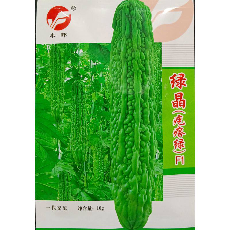 绿晶苦瓜(疙瘩绿)种子杂交一代35-40厘米长苦瓜种子10克/袋约40粒