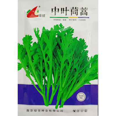 绿领中叶茼蒿种子花叶型蒿子杆同蒿叶塘蒿菜蓬蒿菊花菜种籽20克