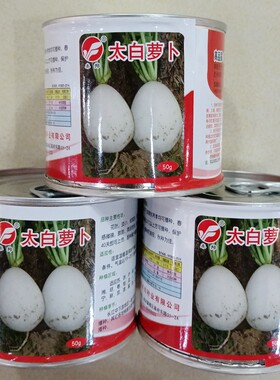 太白萝卜种子秋播早熟圆萝卜50克