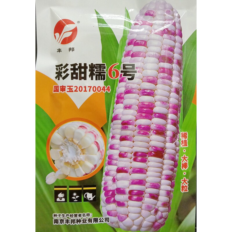 花糯玉米种子加甜糯彩色鲜食30克