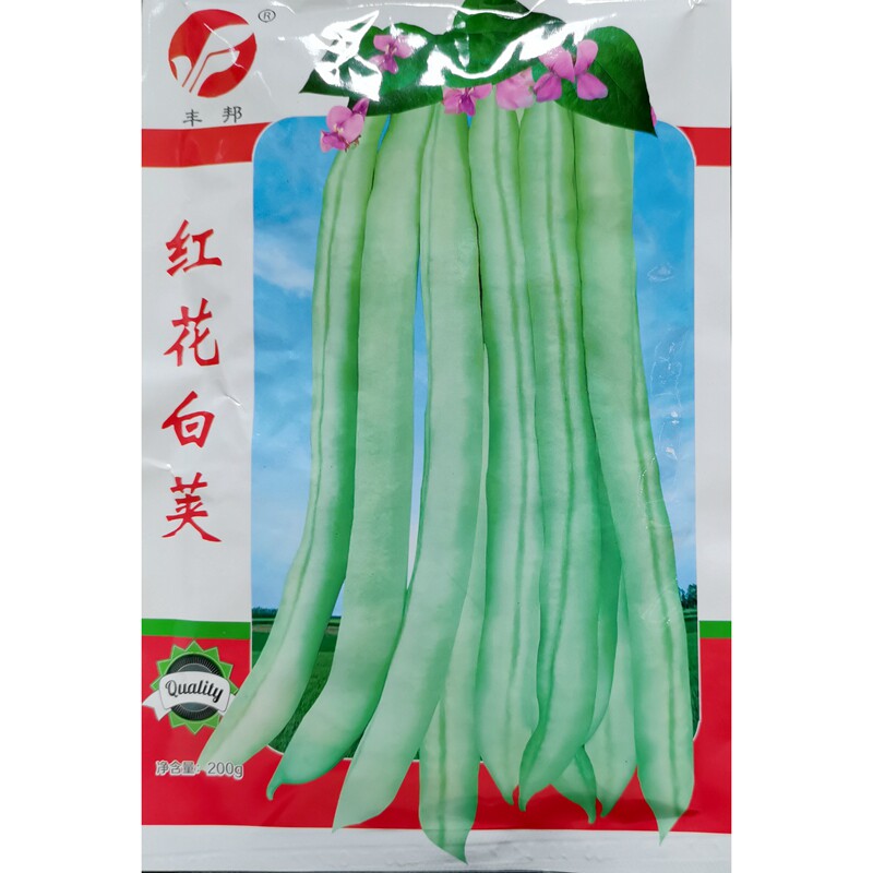 红花白荚四季豆种子白皮豆角菜豆短荚架豆春季蔬菜种籽200克,农用物资,蔬菜种子/种苗,淘宝优惠券,粉丝福利购,淘宝优惠卷