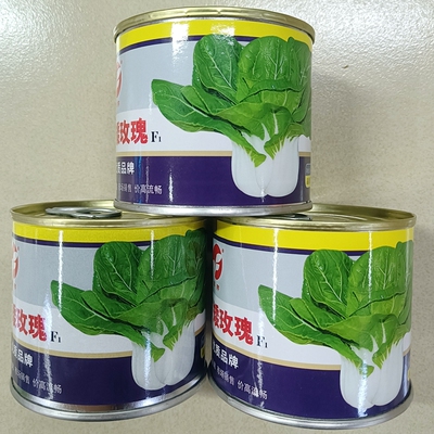 丰邦矮玫瑰矮脚黄种子100克