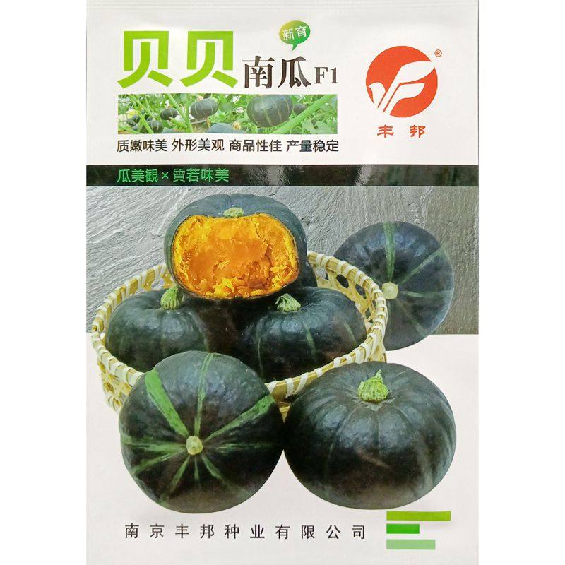 丰邦贝贝小南瓜种子小果扁型墨黑深绿橘金黄心瓤甜香糯板栗味5克
