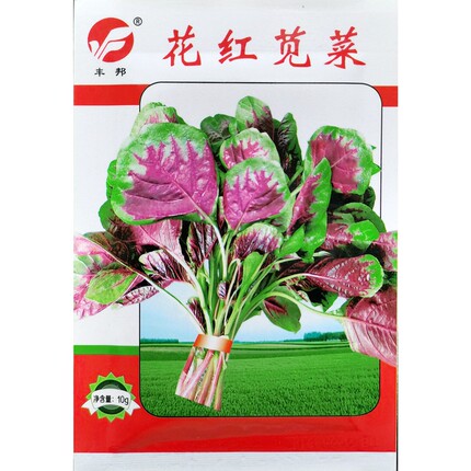 花红苋菜种子红圆叶汉汗旱菜红绿相间蔬菜种籽绿丰园10克约3000粒