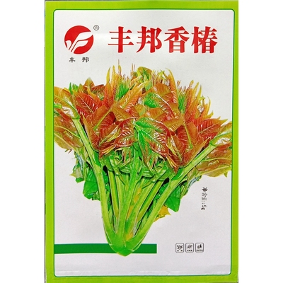 丰邦香椿种子野菜5克春播