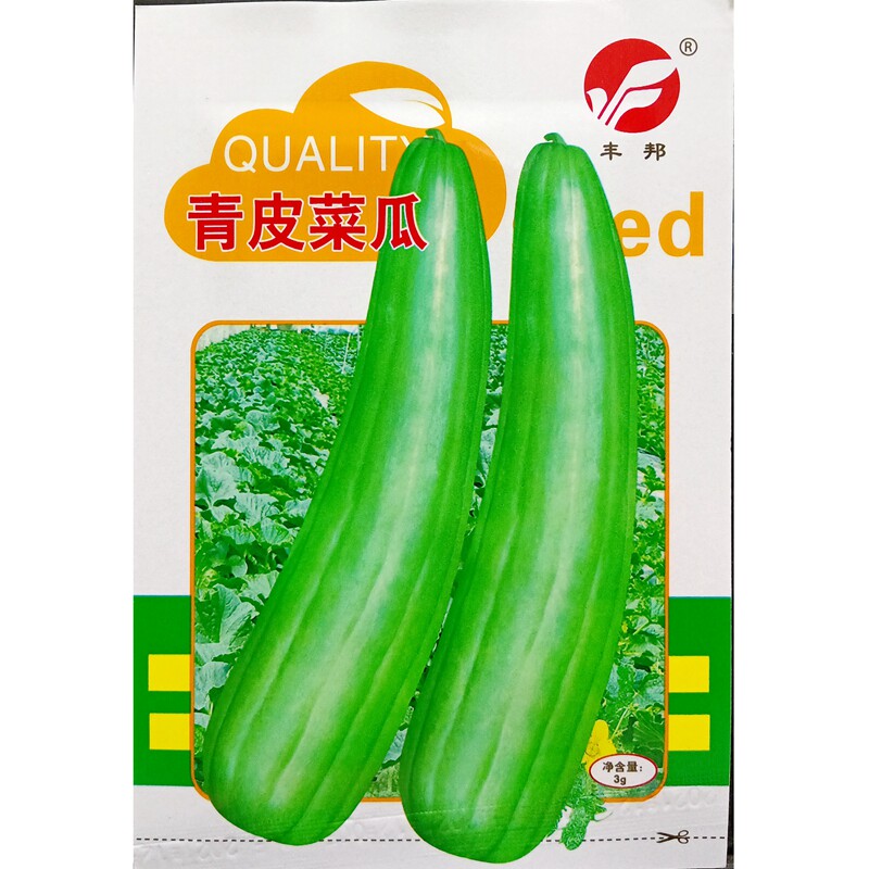 青皮菜瓜种子青瓜角瓜种子生瓜生熟二用春夏蔬菜籽3克/袋约150粒