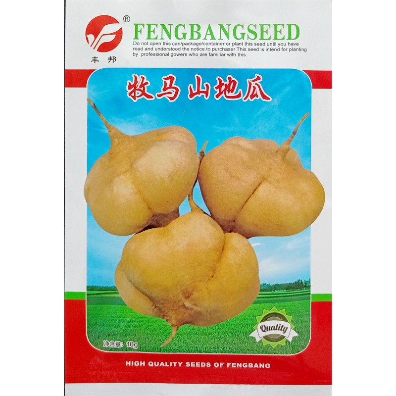 牧马山地瓜种子凉薯豆薯沙葛土瓜种子蔬菜种籽春播10克/袋约50粒