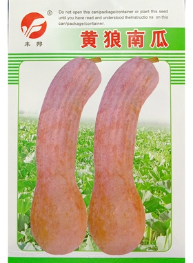 黄狼南瓜种子金勾金钩牛腿南瓜种籽老品种甘面味甜细腻5克/约30粒