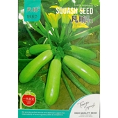 天禧凡响西葫芦种子杂交一代角瓜菜瓜青瓜生瓜小瓜蔬菜种5克25粒