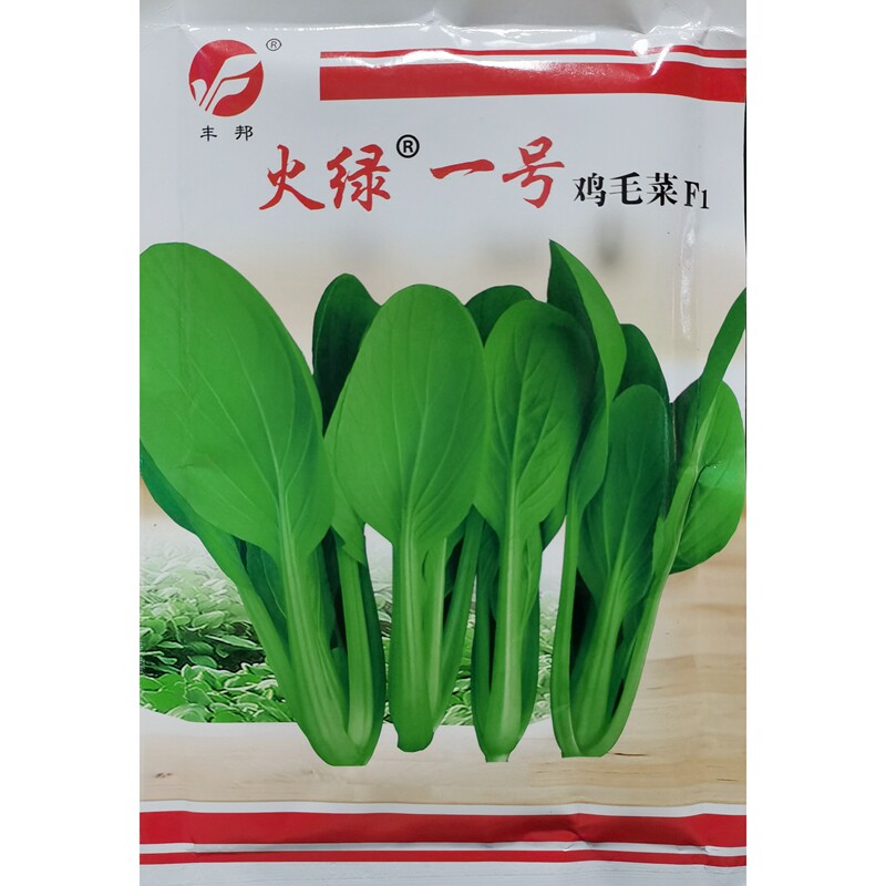 火绿一号鸡毛菜种子耐热青菜图片