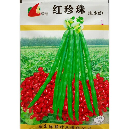 绿领红小豆种子红豆春夏蔬菜