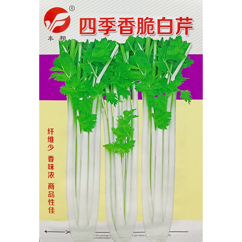 雪白芹菜种子空心白杆10克