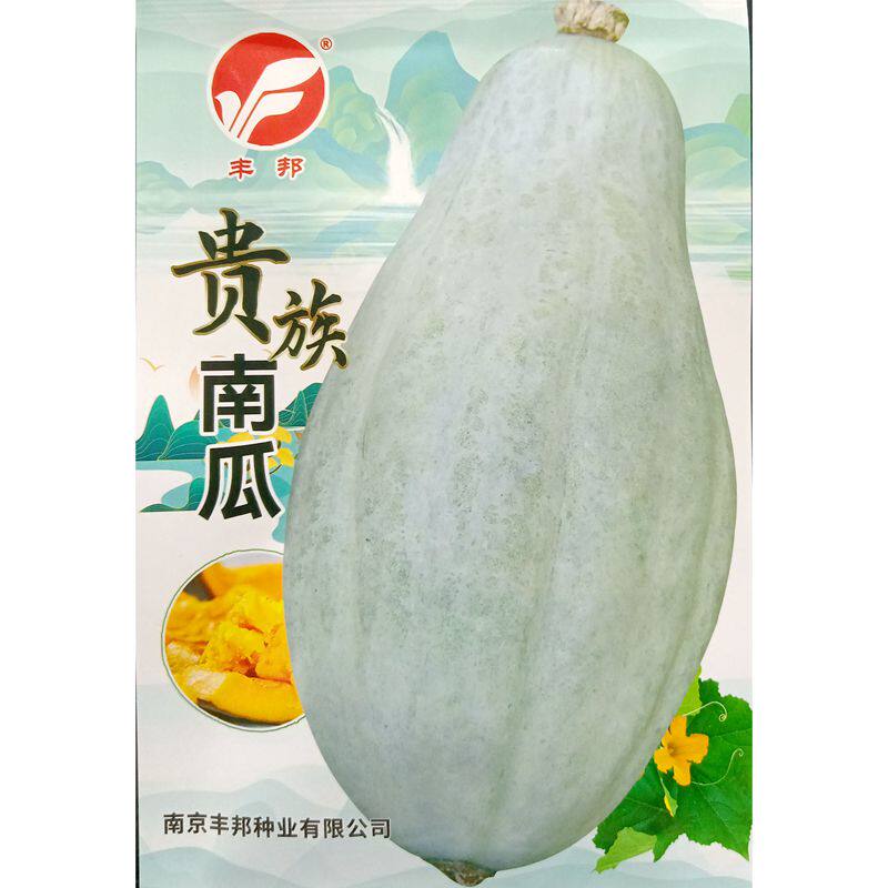 贵族南瓜种子丑瓜长棒很甜蜜甘面杂交种籽春季夏季良种5克约10粒