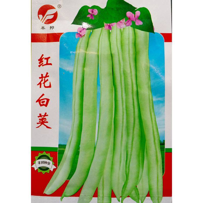 红花白荚四季豆种子短豆角白皮菜豆荚架豆春季秋播种种20克约80粒,农用物资,蔬菜种子/种苗,淘宝优惠券,粉丝福利购,淘宝优惠卷