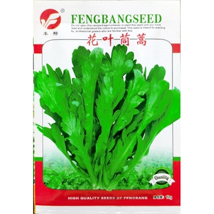 花叶茼蒿种子青蒿子种籽同蒿叶塘蒿菜蓬蒿菊花菜10克另有200克装