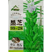 黑芝99 28黑芝麻种子中芝先锋白芝麻种籽河南驻马店90克约1.5万粒