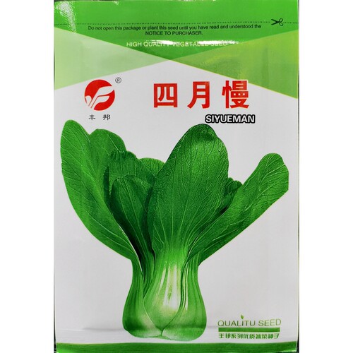 四月慢青菜丰邦耐抽苔小白菜种子