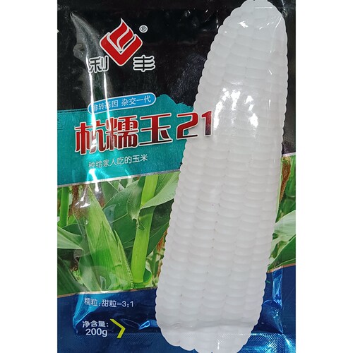 白糯玉米种子甜粘鲜食200克